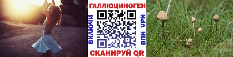 Псилоцибиновые грибы прущие грибы  Певек 
